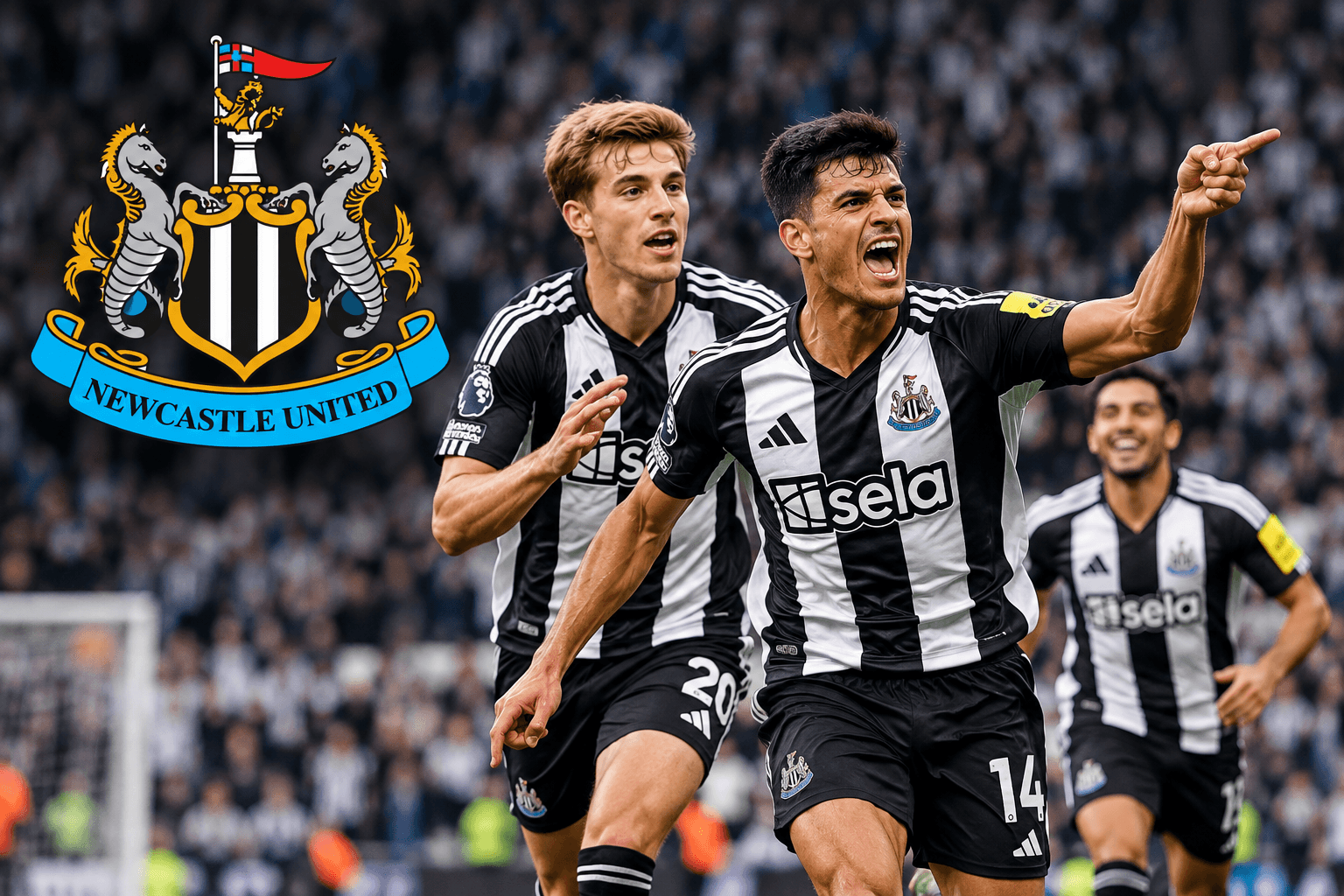 Newcastle brighton vs arsenal
